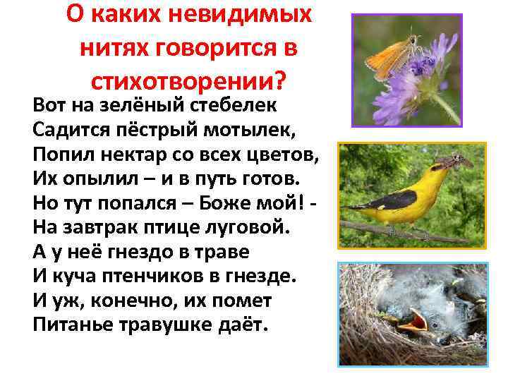 О каких невидимых нитях говорится в стихотворении? Вот на зелёный стебелек Садится пёстрый мотылек,