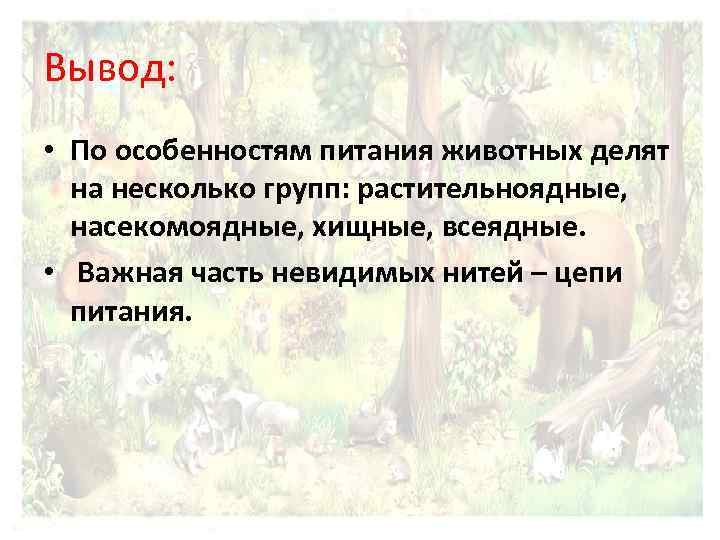 Вывод: • По особенностям питания животных делят на несколько групп: растительноядные, насекомоядные, хищные, всеядные.