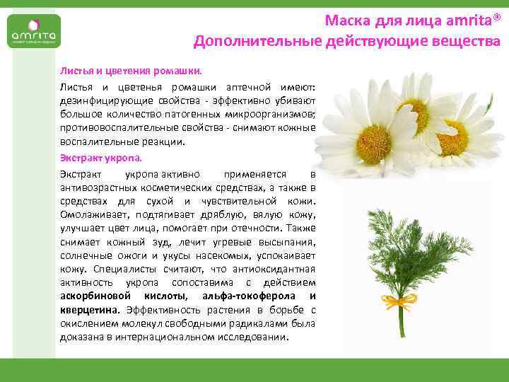 Маска для лица аmrita® Дополнительные действующие вещества Листья и цветения ромашки. Листья и цветенья