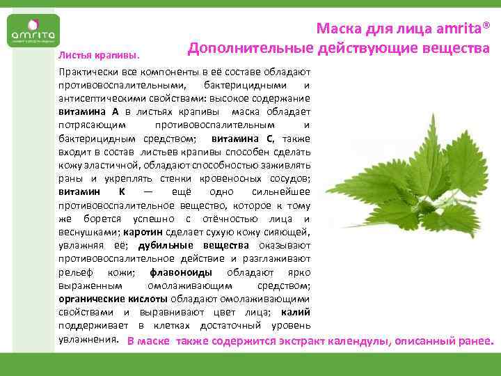 Маска для лица аmrita® Дополнительные действующие вещества Листья крапивы. Практически все компоненты в её