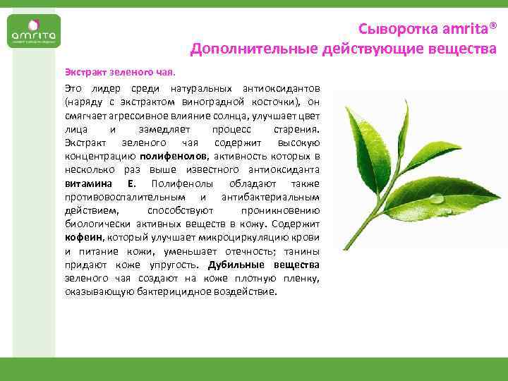 Сыворотка аmrita® Дополнительные действующие вещества Экстракт зеленого чая. Это лидер среди натуральных антиоксидантов (наряду