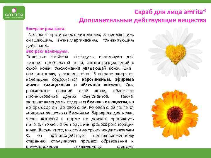 Скраб для лица аmrita® Дополнительные действующие вещества Экстракт ромашки. Обладает противовоспалительным, заживляющим, очищающим, антиаллергическим,