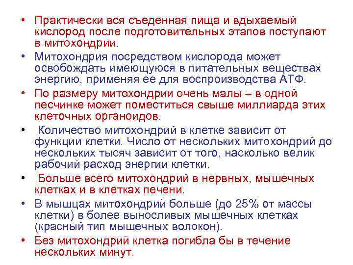  • Практически вся съеденная пища и вдыхаемый кислород после подготовительных этапов поступают в