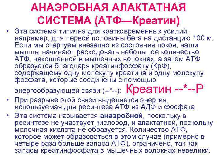 АНАЭРОБНАЯ АЛАКТАТНАЯ СИСТЕМА (АТФ—Креатин) • Эта система типична для кратковременных усилий, например, для первой