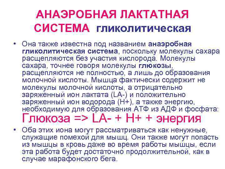 АНАЭРОБНАЯ ЛАКТАТНАЯ СИСТЕМА гликолитическая • Она также известна под названием анаэробная гликолитическая система, поскольку