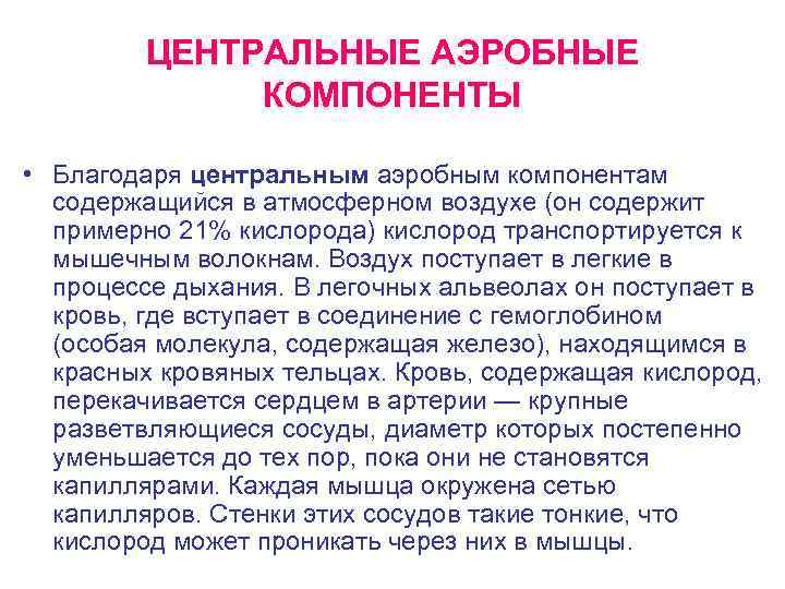 ЦЕНТРАЛЬНЫЕ АЭРОБНЫЕ КОМПОНЕНТЫ • Благодаря центральным аэробным компонентам содержащийся в атмосферном воздухе (он содержит