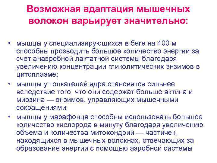 Возможная адаптация мышечных волокон варьирует значительно: • мышцы у специализирующихся в беге на 400