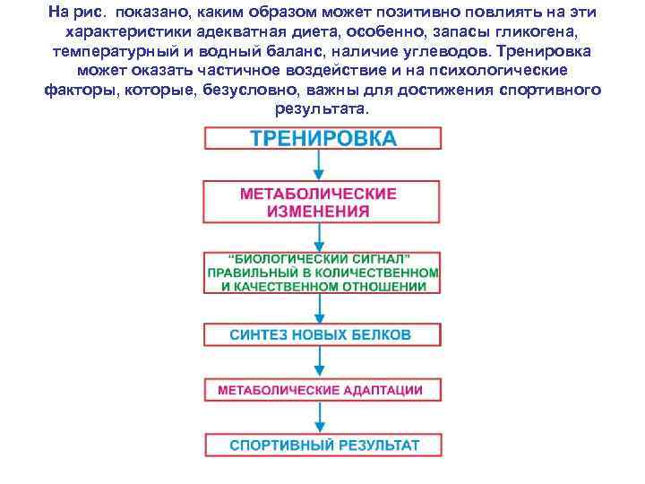 На рис. показано, каким образом может позитивно повлиять на эти характеристики адекватная диета, особенно,