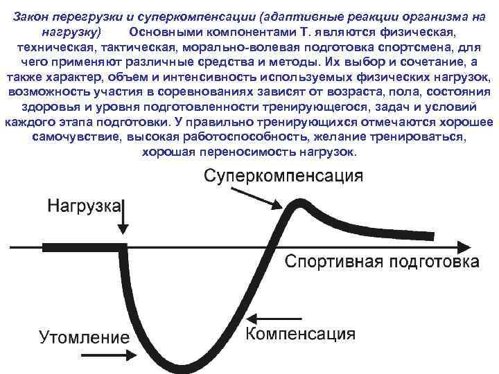 Закон перегрузки и суперкомпенсации (адаптивные реакции организма на нагрузку) Основными компонентами Т. являются физическая,
