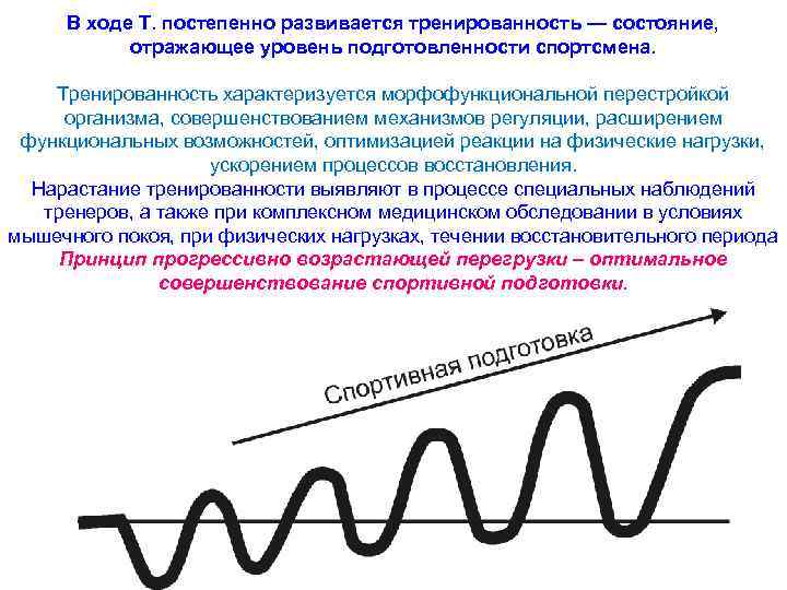 Состояние тренированности