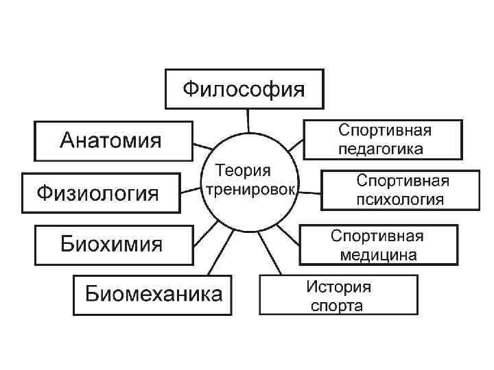 Типы микроциклов спортивной тренировки факторы и условия влияющие на их построение презентация