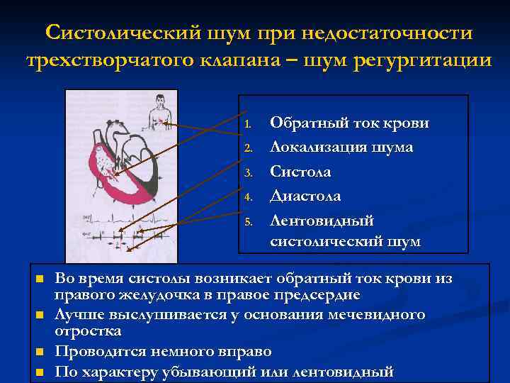 Недостаточность трикуспидального клапана презентация