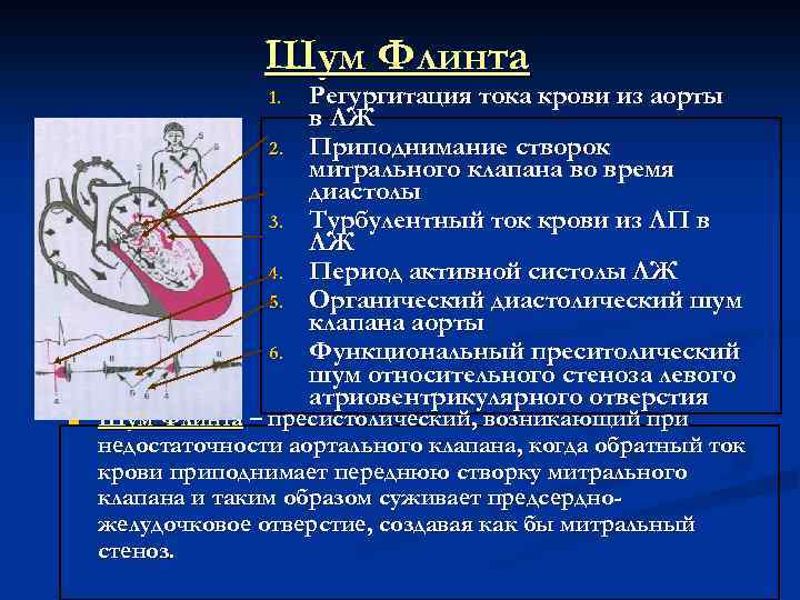 Регургитация 1 форум. Шум Остина Флинта. Шум Флинта при аортальной недостаточности. Шум Остина Флинта выслушивается при. Шум регургитации выслушивается при.