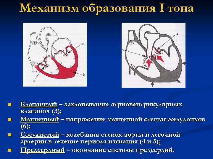 Уплотнение стенок аорты