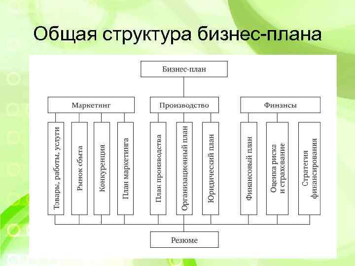 Общая структура бизнес-плана 