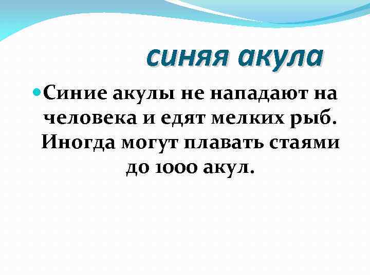 синяя акула Синие акулы не нападают на человека и едят мелких рыб. Иногда могут