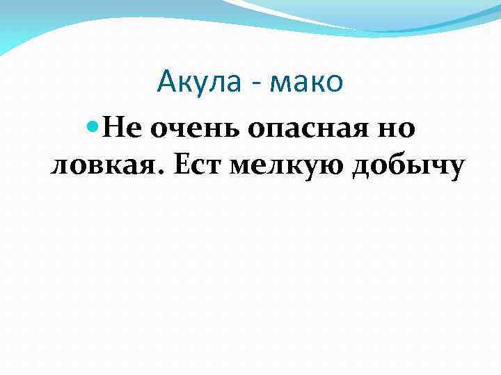 Акула - мако Не очень опасная но ловкая. Ест мелкую добычу 