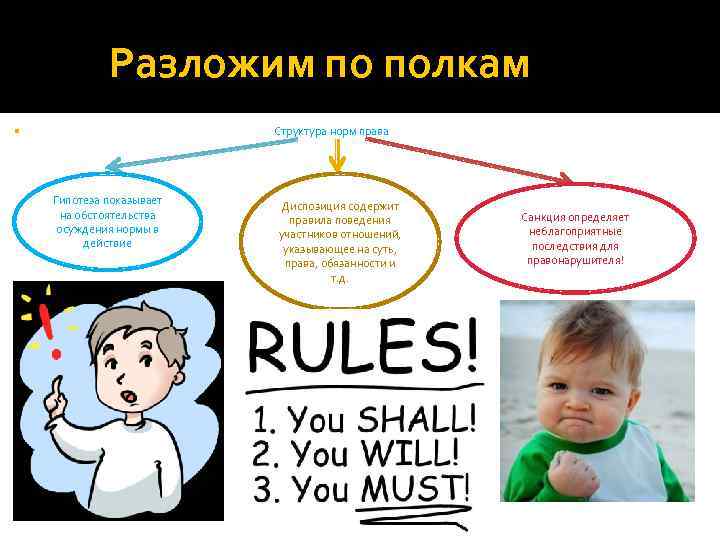 Разложим по полкам Структура норм права Гипотеза показывает на обстоятельства осуждения нормы в действие