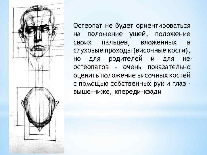 Остеопат не будет ориентироваться на положение ушей, положение своих пальцев, вложенных в слуховые проходы