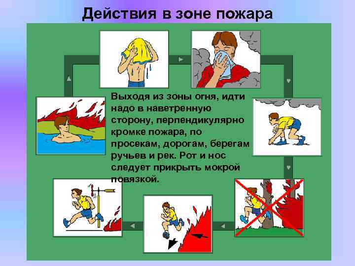 Действия в зоне пожара Выходя из зоны огня, идти надо в наветренную сторону, перпендикулярно