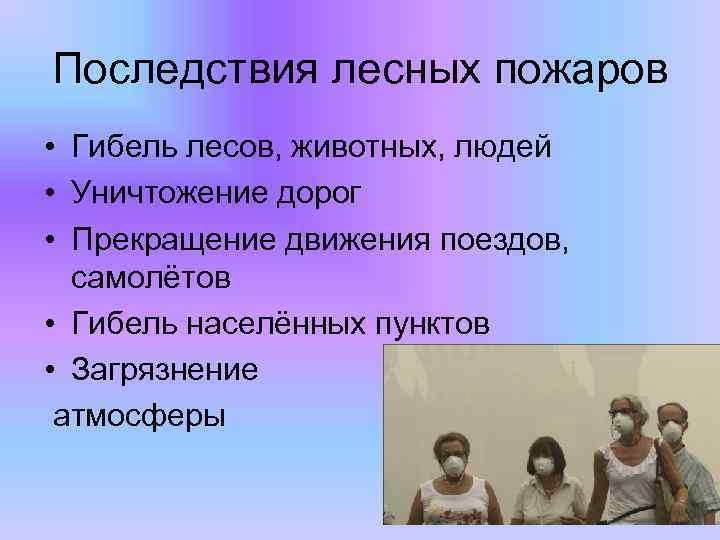 Последствия лесных пожаров • Гибель лесов, животных, людей • Уничтожение дорог • Прекращение движения