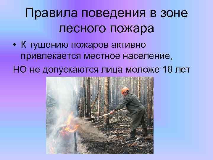 Правила поведения в зоне лесного пожара • К тушению пожаров активно привлекается местное население,