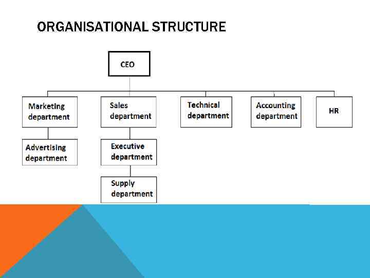 ORGANISATIONAL STRUCTURE 