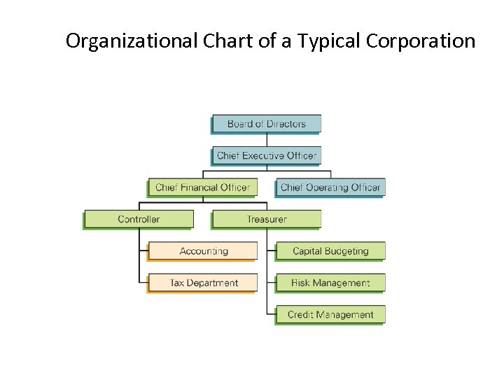 Organizational Chart of a Typical Corporation 