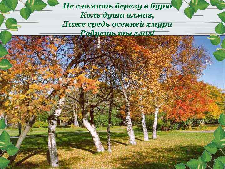 Нe сломить березу в бурю Коль душа алмаз, Даже средь осенней хмури Радуешь ты