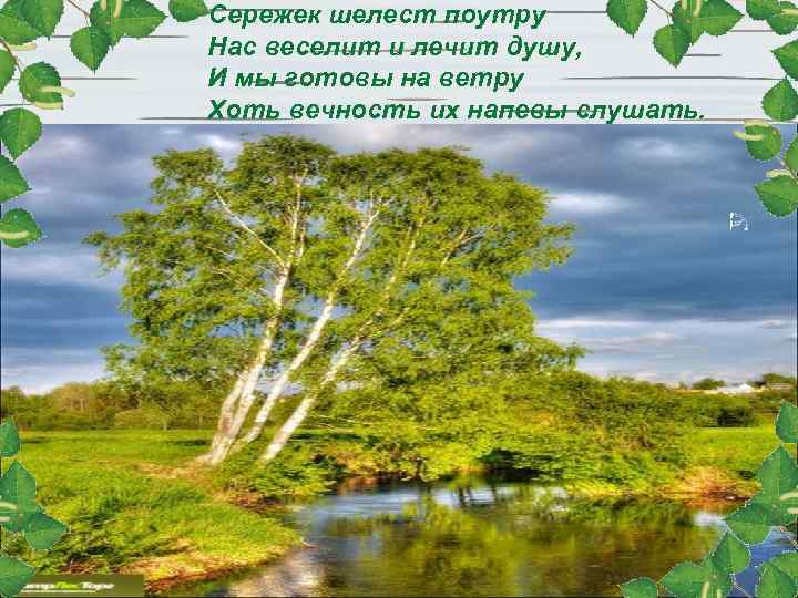 Сережек шелест поутру Нас веселит и лечит душу, И мы готовы на ветру Хоть