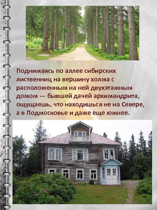 Поднимаясь по аллее сибирских лиственниц на вершину холма с расположенным на ней двухэтажным домом