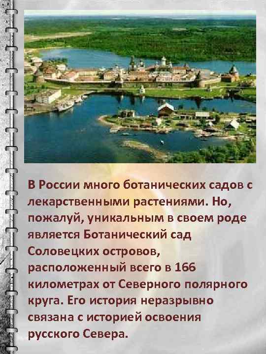 В России много ботанических садов с лекарственными растениями. Но, пожалуй, уникальным в своем роде