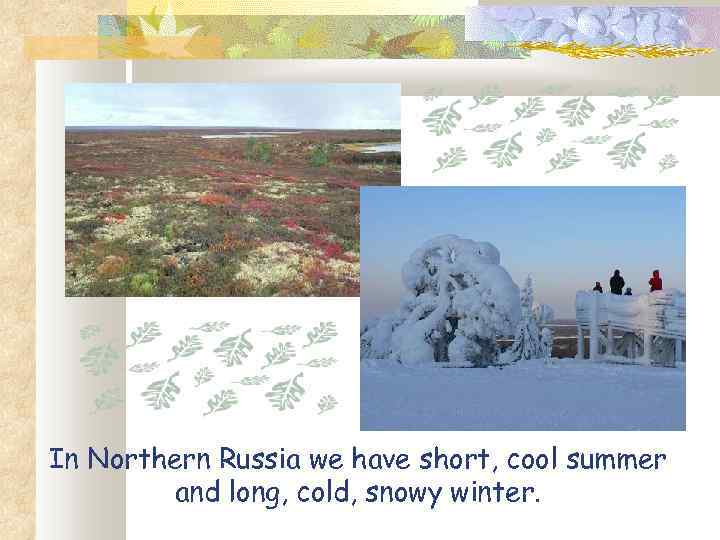 In Northern Russia we have short, cool summer and long, cold, snowy winter. 