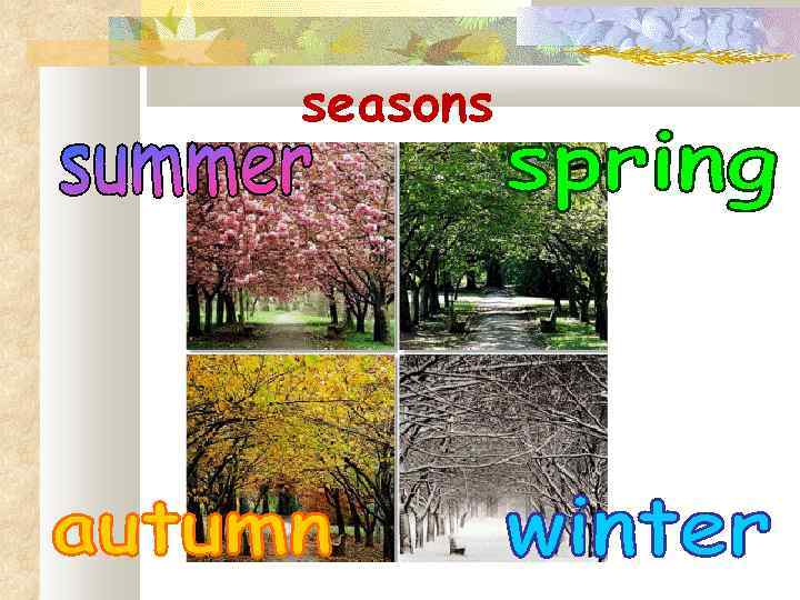 seasons 