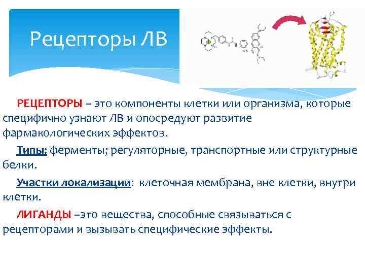 Рецепторы ЛВ РЕЦЕПТОРЫ – это компоненты клетки или организма, которые специфично узнают ЛВ и