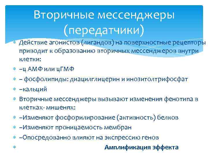 Вторичные мессенджеры (передатчики) Действие агонистов (лигандов) на поверхностные рецепторы приводит к образованию вторичных мессенджеров