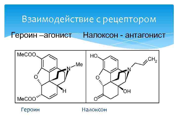 Взаимодействие с рецептором Героин –агонист Героин Налоксон - антагонист Налоксон 