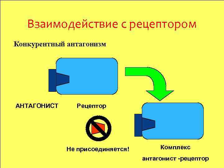 Взаимодействие с рецептором Конкурентный антагонизм АНТАГОНИСТ Рецептор Не присоединяется! Комплекс антагонист -рецептор 