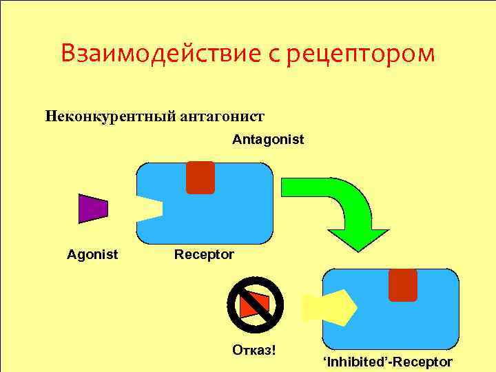 Взаимодействие с рецептором Неконкурентный антагонист Antagonist Agonist Receptor Отказ! ‘Inhibited’-Receptor 