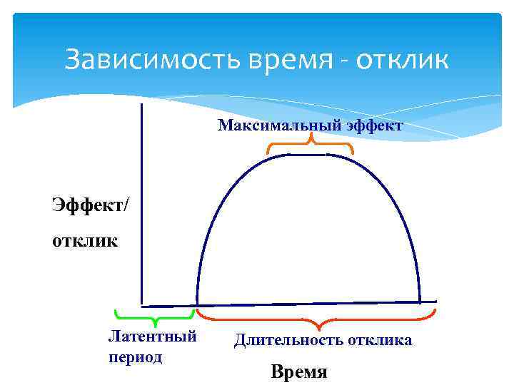 Зависимость время отклик Максимальный эффект Эффект/ отклик Латентный период Длительность отклика Время 