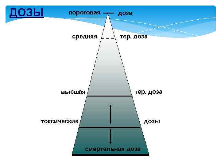ДОЗЫ пороговая средняя высшая доза тер. доза токсические дозы смертельная доза 
