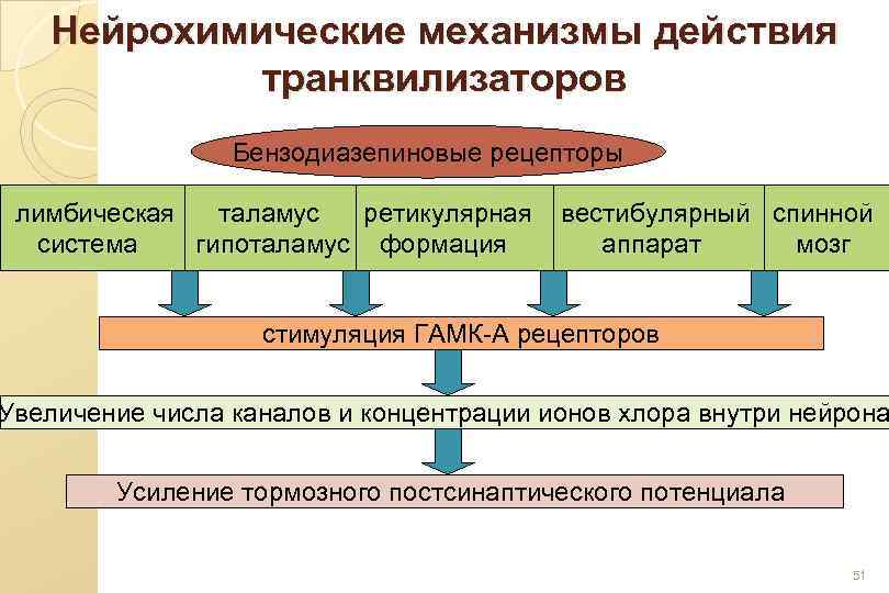 Нейрохимические механизмы действия транквилизаторов Бензодиазепиновые рецепторы лимбическая таламус ретикулярная система гипоталамус формация вестибулярный спинной