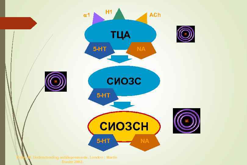  1 H 1 ACh ТЦА 5 -HT NA СИОЗС 5 -HT СИОЗСН 5