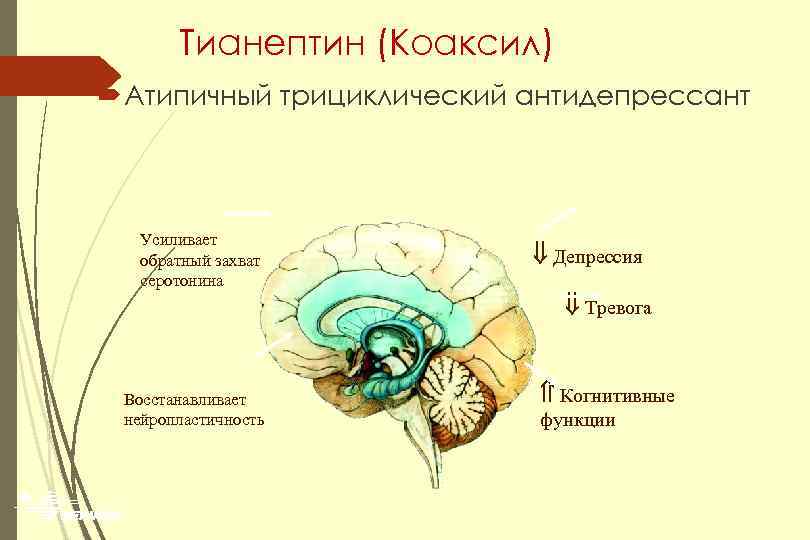 Селектора это антидепрессант