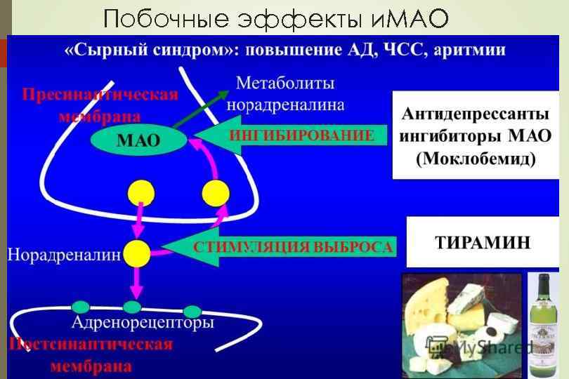 Антидепрессанты мао