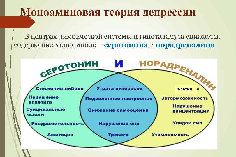 Моноаминовая теория депрессии В центрах лимбической системы и гипоталамуса снижается содержание моноаминов – серотонина