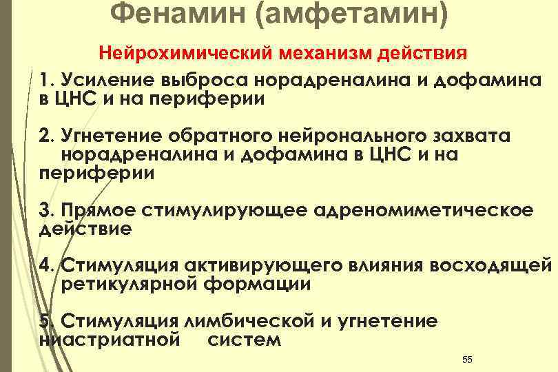 Фенамин (амфетамин) Нейрохимический механизм действия 1. Усиление выброса норадреналина и дофамина в ЦНС и
