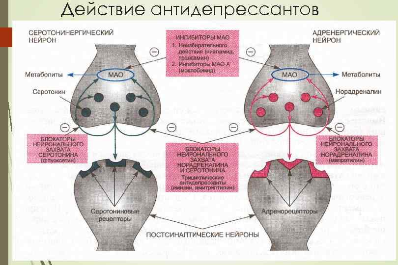 Действие антидепрессантов 