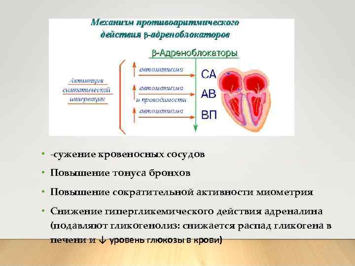  • -сужение кровеносных сосудов • Повышение тонуса бронхов • Повышение сократительной активности миометрия