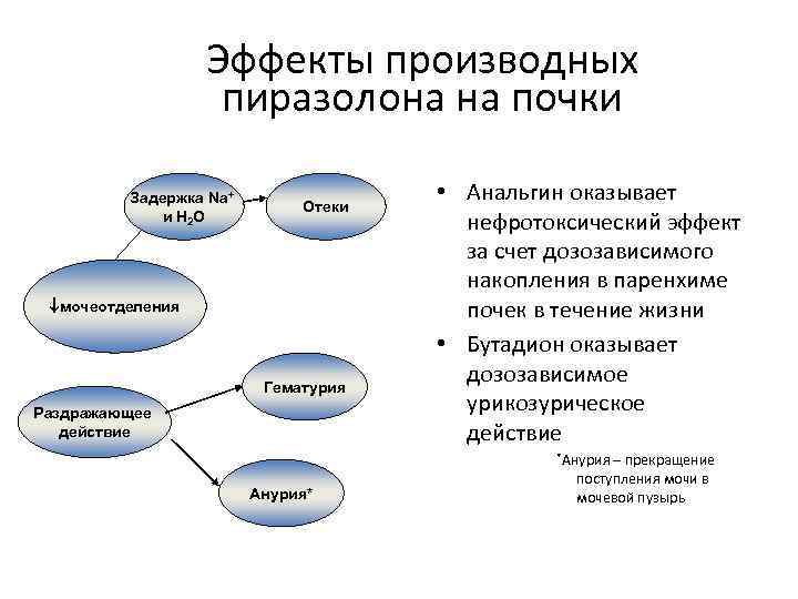 Эффекты производных пиразолона на почки Задержка Na+ и H 2 O Отеки мочеотделения Гематурия